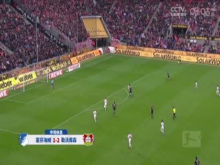 德甲聯(lián)賽 霍芬海姆VS勒沃庫森 20240914