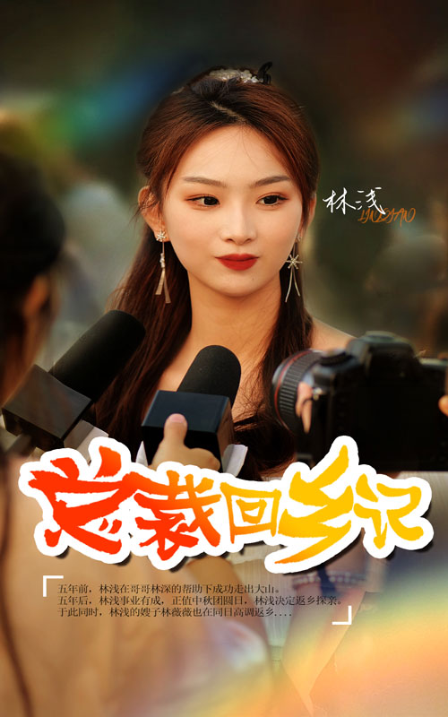 總裁回鄉(xiāng)記