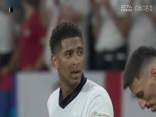 歐洲杯小組賽 塞爾維亞VS英格蘭 20240617