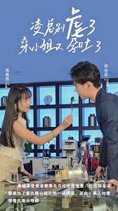 凌總別虐了，桑小姐又孕吐了