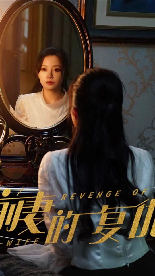 前妻的復(fù)仇