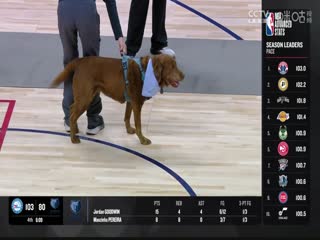 NBA常規(guī)賽 老鷹VS掘金 20240407