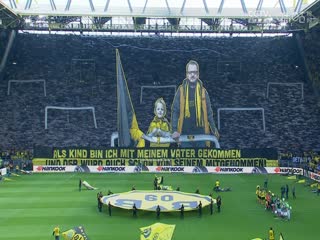 德甲 達(dá)姆施塔特vs沃爾夫斯堡 20231216（劉洋）