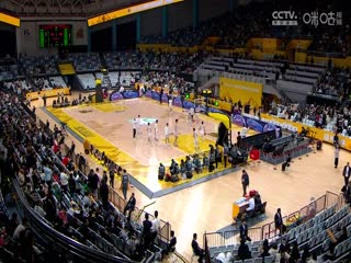 CBA常規(guī)賽第10輪 浙江東陽光藥VS浙江稠州金租 20231114（金哲豪）