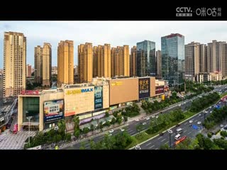 國際大體聯(lián)足球世界杯 波爾多大學(xué)vs悉尼大學(xué) 20231031