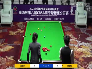 斯諾克 吳宜澤4-3謝金桃 20230519（李照）