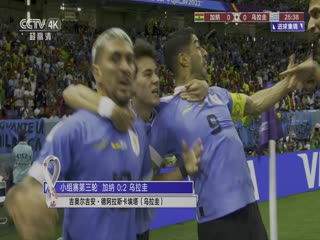 阿根廷vs澳大利亞