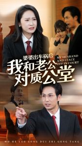 婆婆出車(chē)禍后我和老公對(duì)質(zhì)公堂