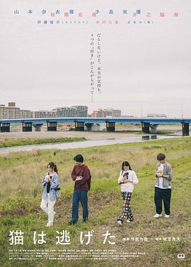 貓貓?zhí)幼吡?>
                                </div>
                            </div>
                            <div   id=