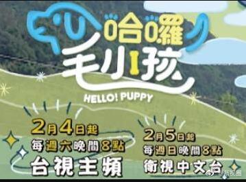 哈啰！毛小孩