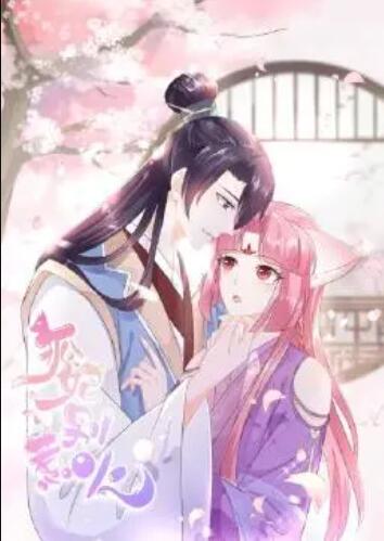 狐妃，別惹火