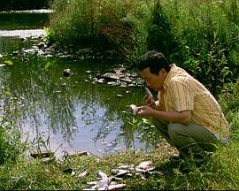 來福，來福