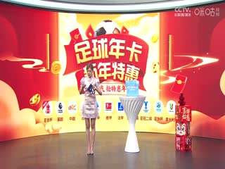 英超聯(lián)賽 阿森納VS曼城 20250203