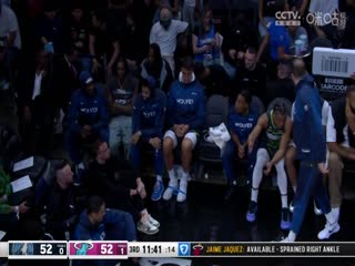 NBA常規(guī)賽 森林狼VS熱火 20250308