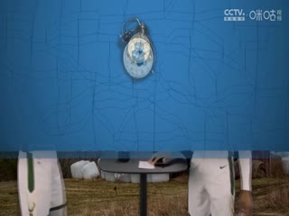 NBA常規(guī)賽 步行者VS雄鹿 20250316