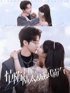 情陷于你，陸太太威武霸氣