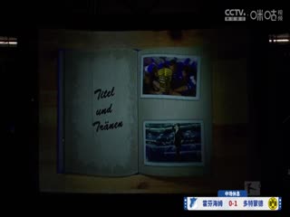 德甲聯(lián)賽 霍芬海姆VS多特蒙德 20250426