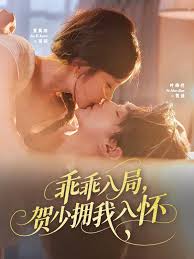 乖乖入局賀少擁我入懷