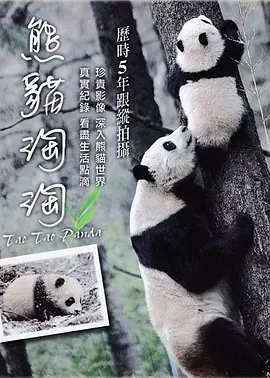 熊貓?zhí)蕴?>
                                </div>
                            </div>
                            <div   id=