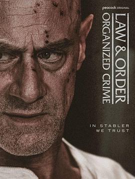 法律與秩序：組織犯罪第五季