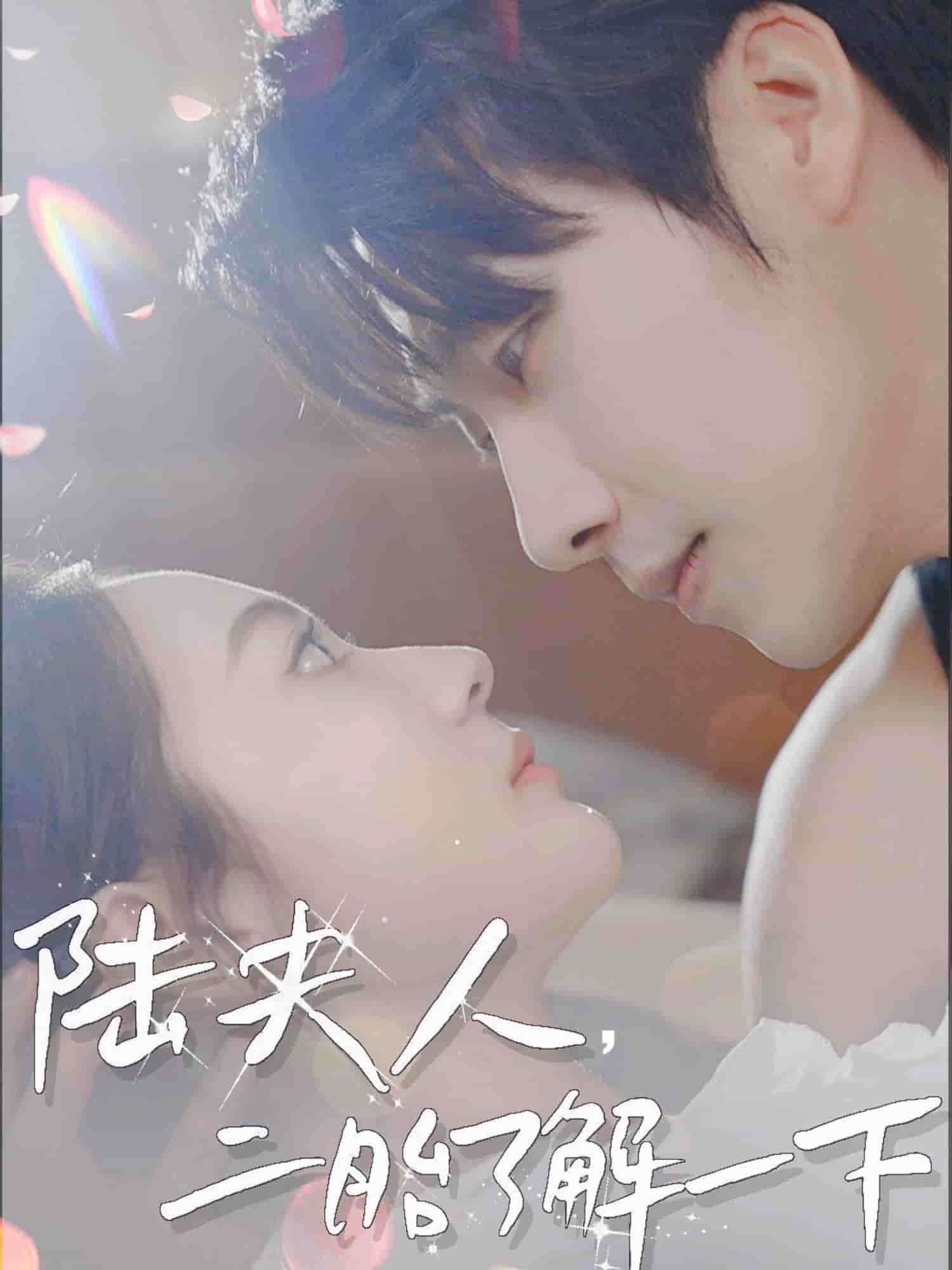 陸夫人，二胎了解一下