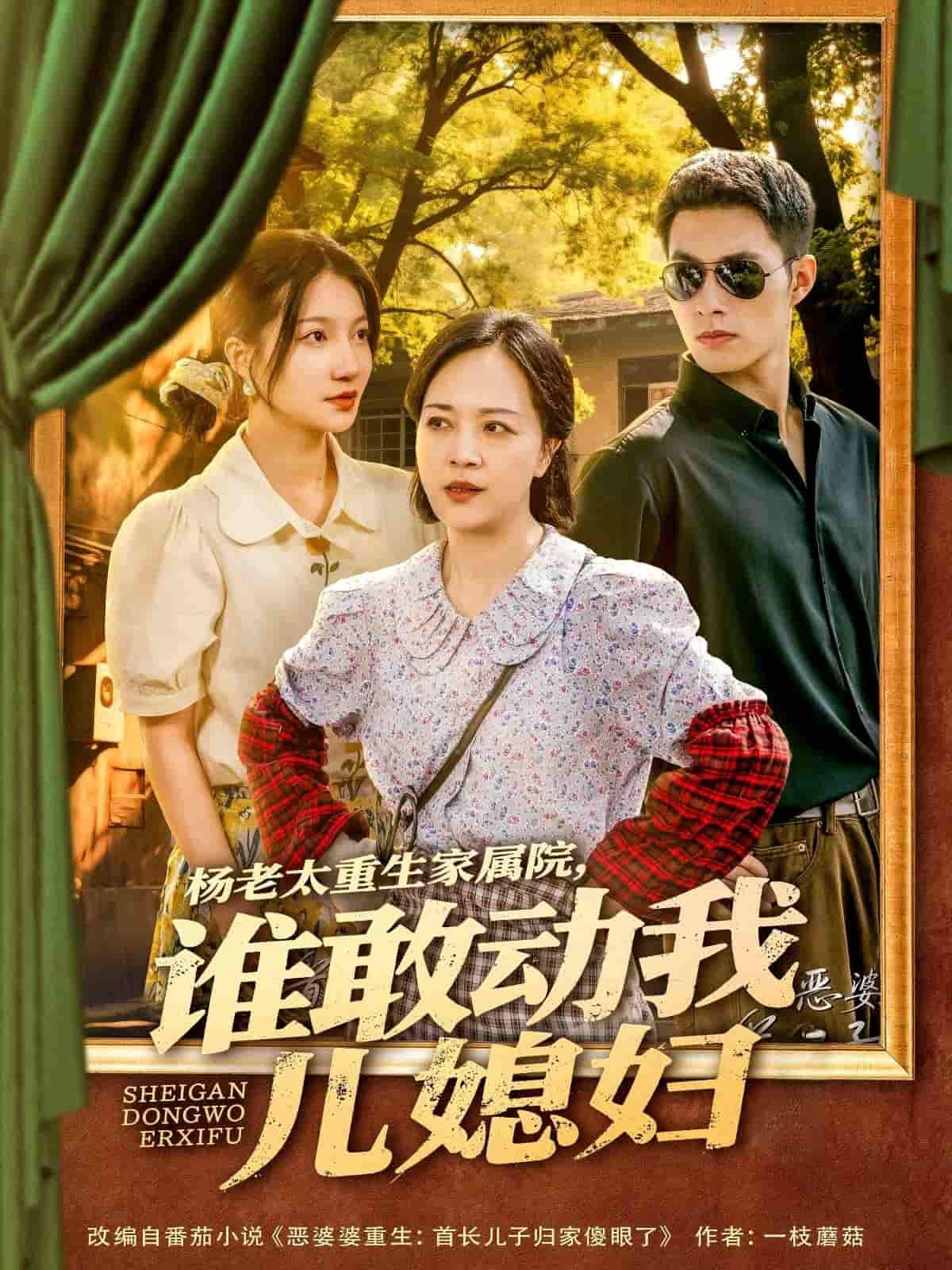 楊老太重生家屬院，誰敢動我兒媳婦