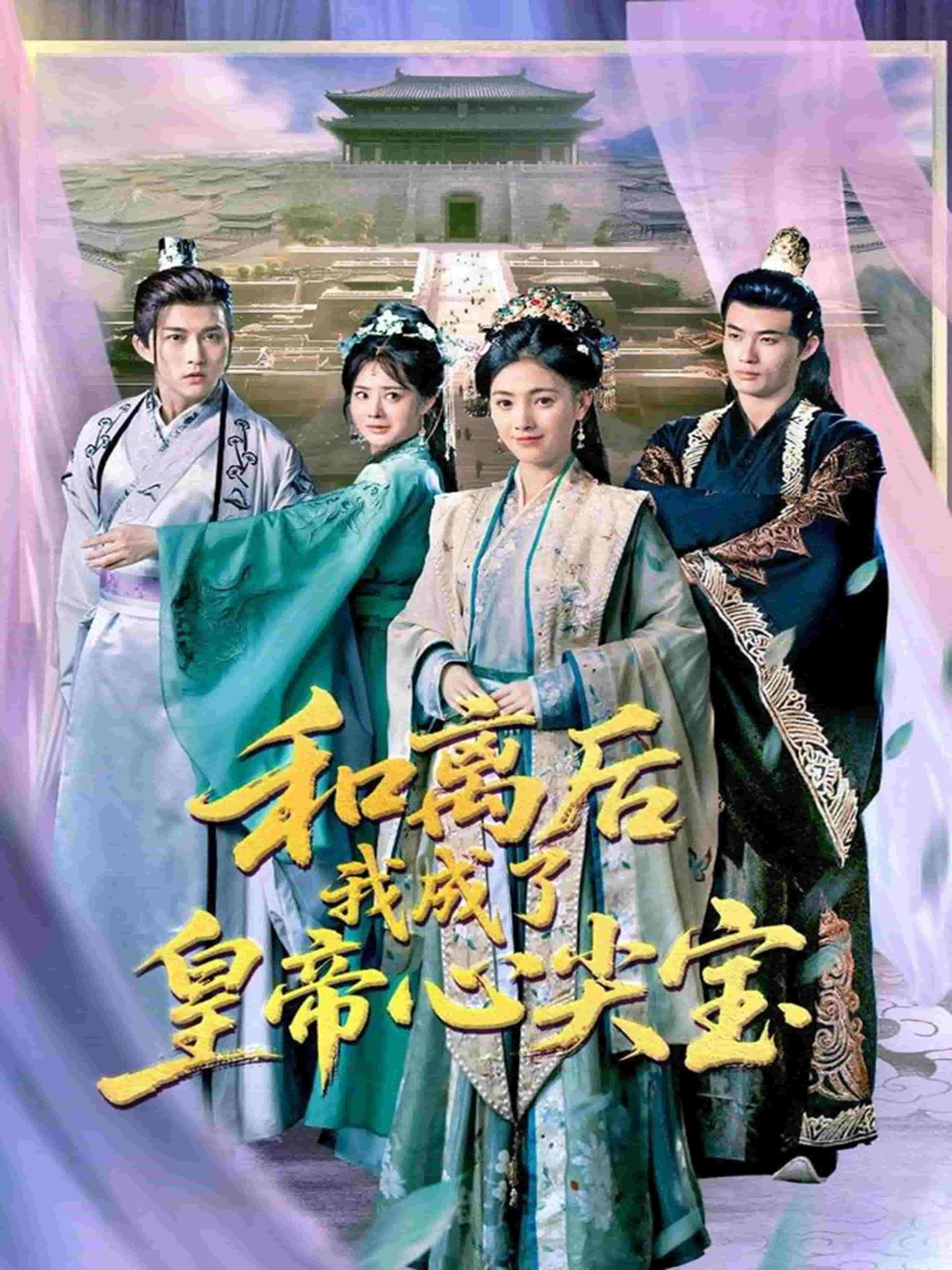 和離后我成了皇帝心尖寶