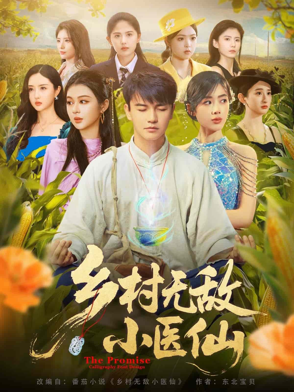 鄉(xiāng)村無敵小醫(yī)仙