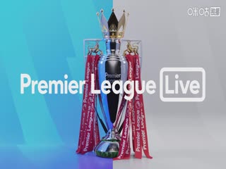 英超聯(lián)賽 阿森納VS托特納姆熱刺 20251124