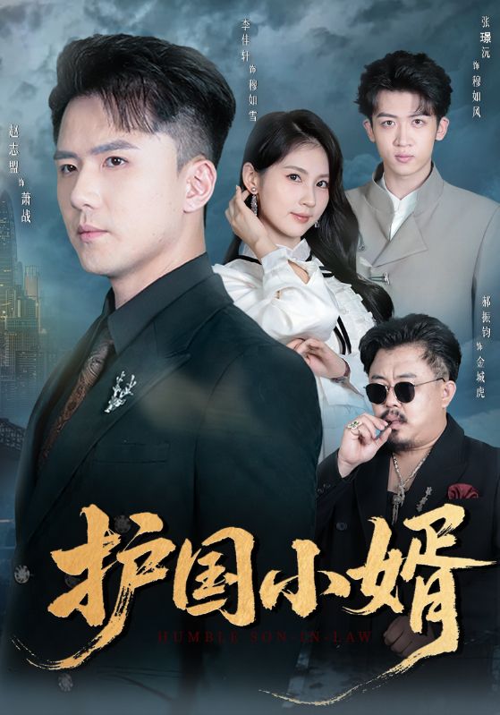 護(hù)國(guó)小婿