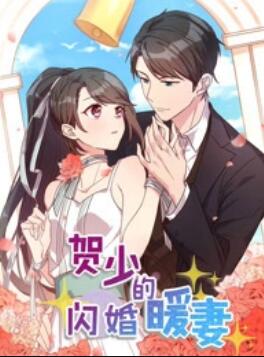 賀少的閃婚暖妻 動(dòng)態(tài)漫第一季