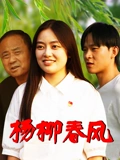 楊柳春風(fēng)