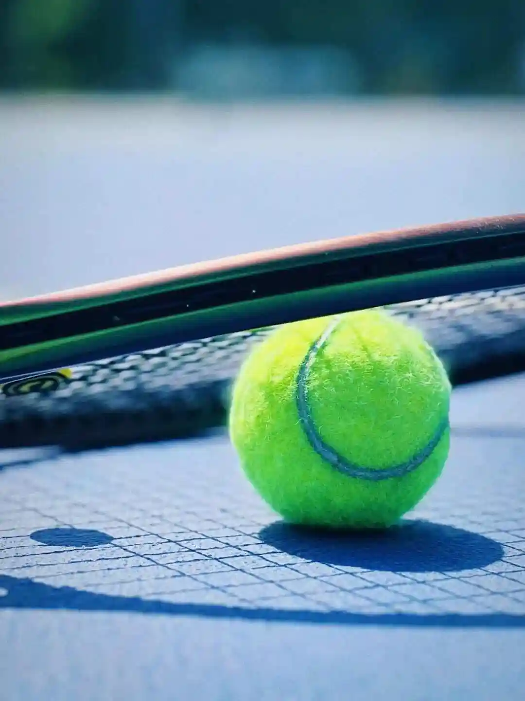 WTA奧克蘭站半決賽：斯維托麗娜VS約維奇