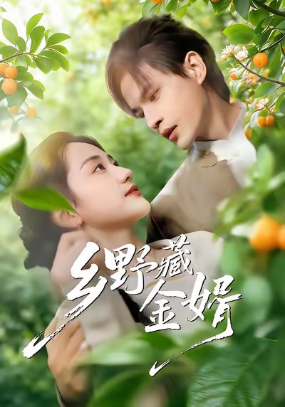 鄉(xiāng)野藏金婿