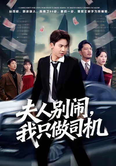 夫人別鬧我只做司機(jī)