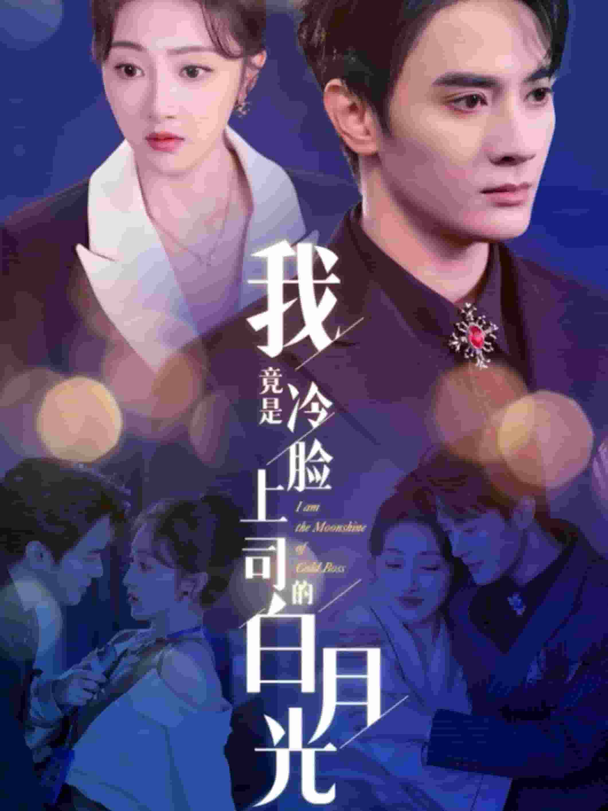 我竟是冷臉上司的白月光