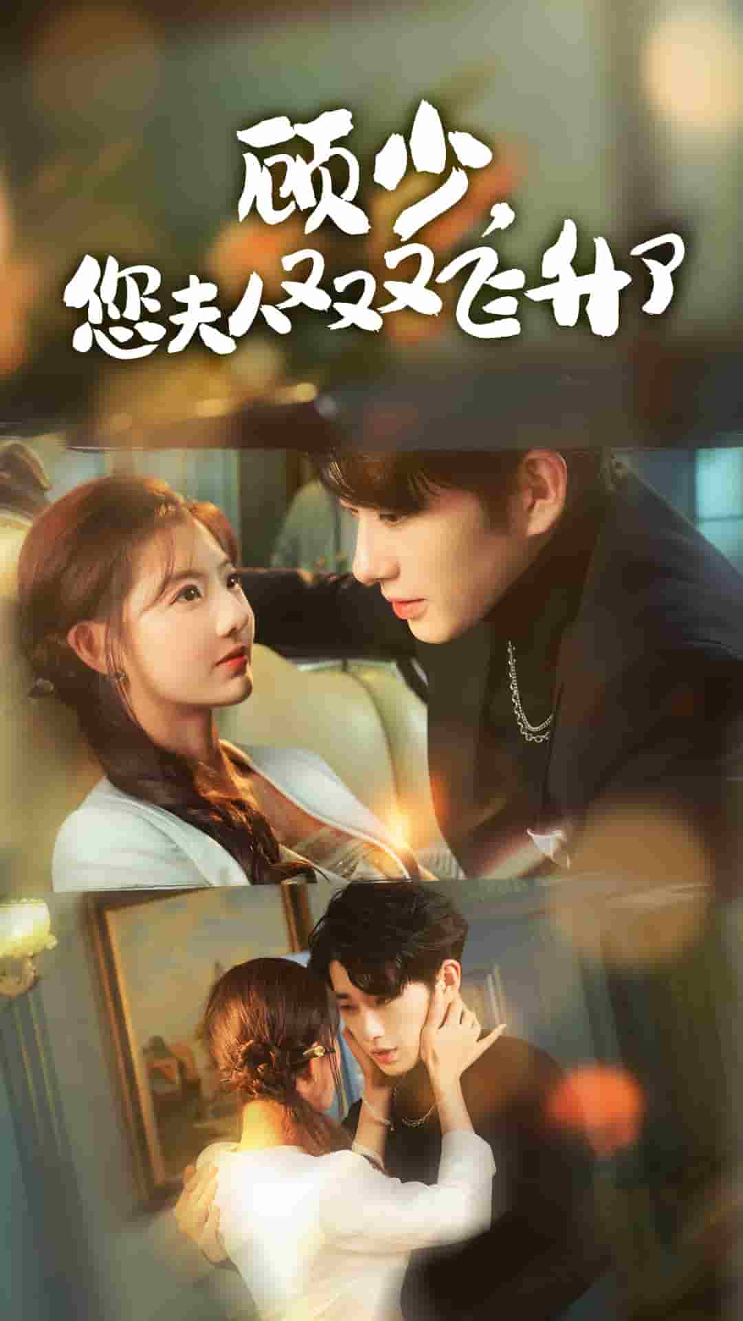 顧少您夫人又又又飛升了