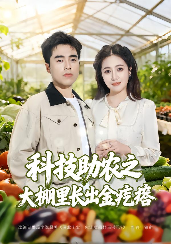 科技助農(nóng)之大棚里長(zhǎng)出金疙瘩