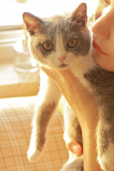 小少爷卡在墙里被侍卫救了