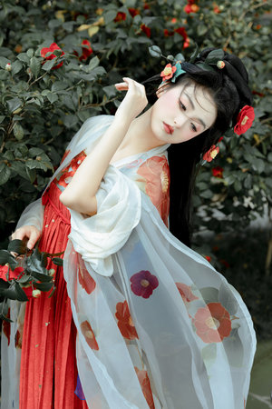 《老公对不起请原谅》